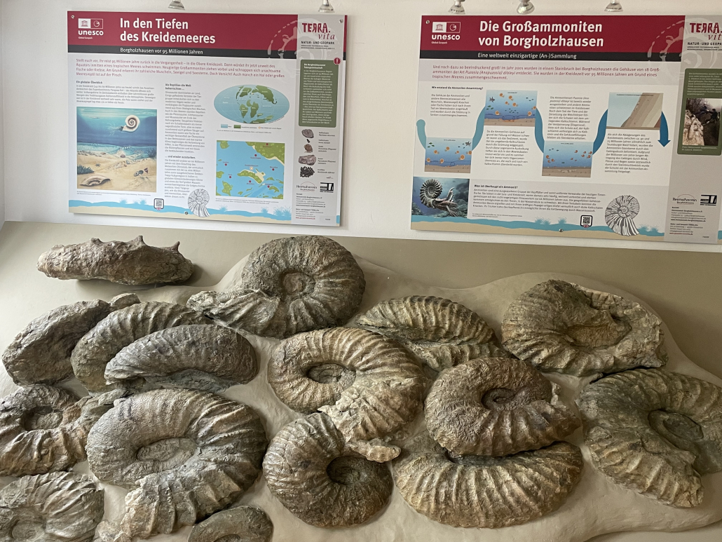 Internationaler Expertenbesuch im ErdZeitCenter